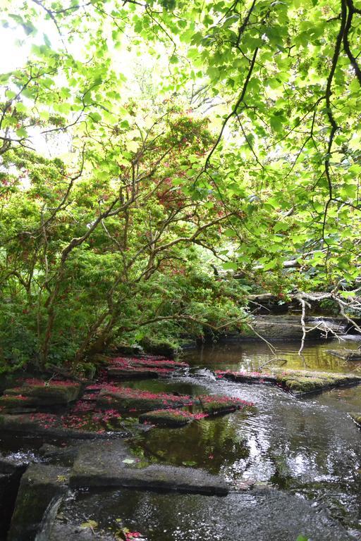 Woodwick House Bed & Breakfast Orkney Bagian luar foto