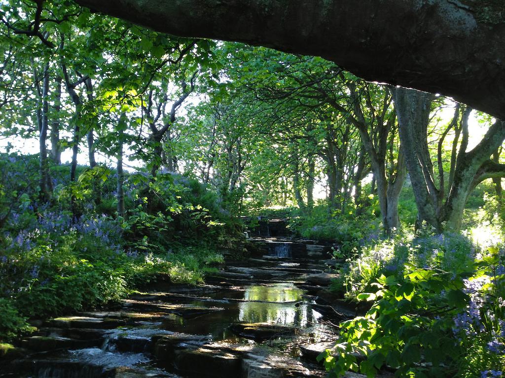 Woodwick House Bed & Breakfast Orkney Bagian luar foto